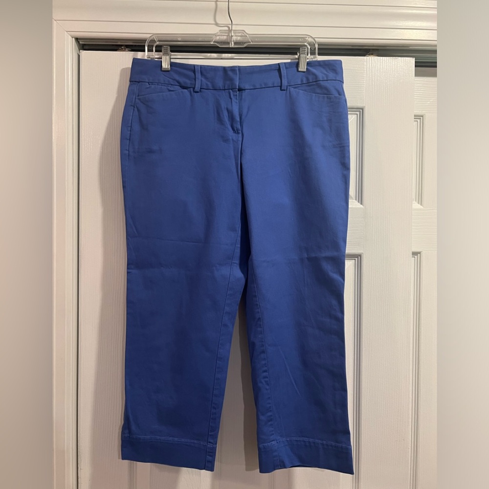 Loft Marisa Capri Pants